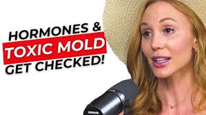 FEMALE Hormones, Best Gut Biome Food, Healing Your Nervous System & MOLD  with Rachel Scheer (4K)