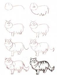 Instreamset:drawing tutorial &.asp?cat= / cat anatomy. 20 Easy Cat Drawing Step By Step Tutorials Simple Cat Sketch
