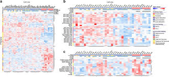 Image result for bioinformatics heatmap