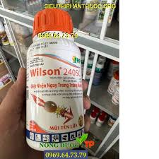 Wilson 240SC.