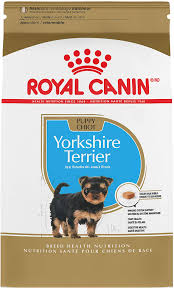 Our teacup yorkies and teacup yorkies for sale are in alabama, alaska, arizona, arkansas, california, colorado, connecticut,. Amazon Com Royal Canin Yorkshire Terrier Puppy Breed Specific Dry Dog Food 2 5 Pounds Bag Pet Supplies