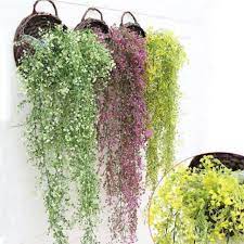 Maybe you would like to learn more about one of these? Bunga Gantung Harga Terbaik Dekorasi Perlengkapan Rumah Agustus 2021 Shopee Indonesia