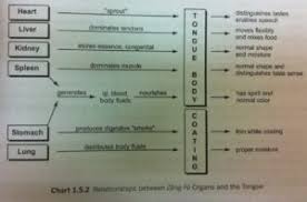 Tongue In Cheek Tongue Diagnosis Radiance Chinese Medicine