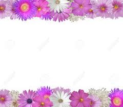 One for the top and bottom edges of the element, and one for. Cheerful Border Of Pink And White Flowers Top And Bottom Stock Photo Picture And Royalty Free Image Image 12726388