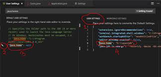1) write software or programming for machine (count per job request or per. Java With Visual Studio Code Vscode Part 1 By Tariqul Islam Medium