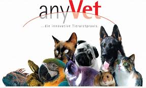 Anyvet GmbH