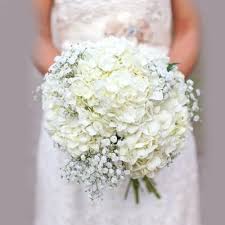 Classic White Hydrangea Wedding Bouquet Buy Online In Belfast Flower Shop White Hydrangea Wedding Hydrangea Bouquet Wedding Hydrangeas Wedding