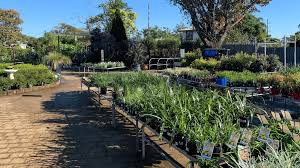 Check spelling or type a new query. Manawee Garden Centre Where Plants Are Pleasure Sunshine Coast