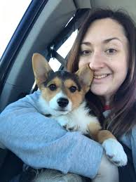 Rocky neutered, using soft cone instead of cone of shame