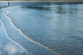 Tofino Vancouver Island At Low Tide Travel Photography Blog