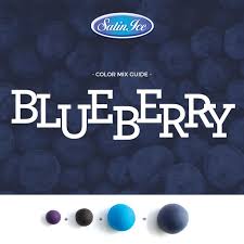 Blueberry Color Mixing Chart Satin Ice Fondant Color