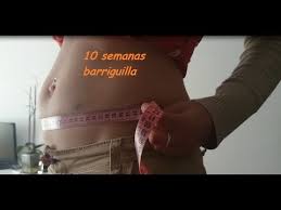 ¿qué ocurre con mi bebé durante la semana 11 de embarazo? Barriga Embarazada Semana 10 11 10 11 Week Pregnant Belly Youtube
