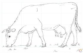 Our drawing lessons continue with this simple how to draw a cow step by step tutorial. How To Draw A Cow Step By Step For Kids Beginners