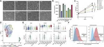 A reference human induced pluripotent stem cell line for large-scale  collaborative studies:Cell Stem Cell