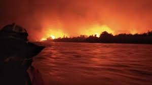 Nenhum membro do time ficou . Bombeiros Resgatam Familia Em Meio A Incendio No Pantanal Meio Ambiente Campo Grande News