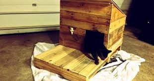 Cat House Made From Recycled Wood Pallets The Good Human Cat House Cat House Diy Outdoor Cat House
