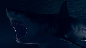 More images for scary shark pictures » Artstation Scary Shark Hagen Gilbert