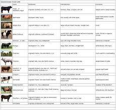 Pin By My Info On Beef Cattle Beef Cattle Breeds Of Cows