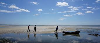 Best all inclusive resorts on the beach in cabo delgado province. Gas Rush Human Rights Abuses Climate Devastation Insurgent Attacks Covid Hotspot Friends Of The Earth International
