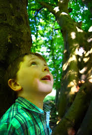 WORKING TOGETHER FOR A SUSTAINABLE FUTURE