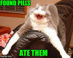 Unfortunately, many cats are experts at spitting out pills, or they may refuse to eat them altogether. Quotes About Crazy Pills Quotesgram