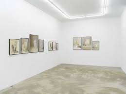 Bildergebnis für Shahin Afrassiabi