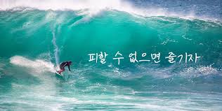 피할 수 없으면 즐기자