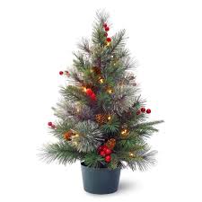 Christmas urn filler with lights. National Tree Company 2 Ft Pre Lit Potted Traditional Artificial Christmas Tree With 35 Constant White Clear Led Lights In The Artificial Christmas Trees Department At Lowes Com