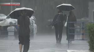東京で記録的豪雨！交通機関に影響、今後の天気は？ - Imagen principal del artículo