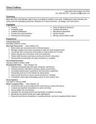 Film director resume template (text version). Best Film Crew Resume Example Livecareer