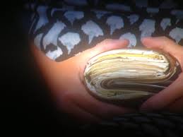 We did not find results for: Chris Berman Has A George Costanza Wallet Situation