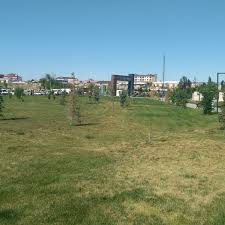 Esenler belediyesi park bahçeler müdürlügü. Cihanbeyli 15 Temmuz Sehitler Parki Konya Konya