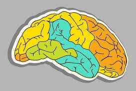 Va Screwing Tbi Vets Get These Quick Facts For Your Tbi Evaluation