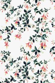 Wie Dekoriere Ich Mit Kuhnen Tapeten Haus Garten Wie Man Mit Kuhnen Tapeten Dekoriert Haus Garten So Bold Wallpaper Fern Wallpaper Designer Wallpaper