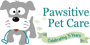 Pawsitive pet care was added as a second location at 3257 west 4th street, near where the ansborough avenue hyvee is now located. Pawsitive Pet Care Home Facebook