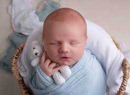 Baby Alfie and big Alfie finally met today and my heart can't handle  it😭😭😭 baby Alfie also striking a pose beside his fellow bed head twin  Daisy 👯‍♀️