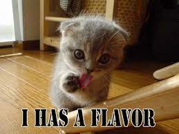 Funny Cat Pictures Photo Lol Cat Funny Cat Pictures Funny Cat Photos Kittens Cutest
