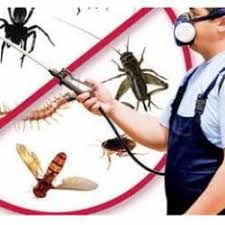 Get information, directions, products, services, phone numbers, and reviews on senate termite control in gaithersburg, undefined discover more disinfecting and pest control services companies in gaithersburg on manta.com Ivxdrpo0sybwom