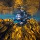 Seaweek event in Whitianga
