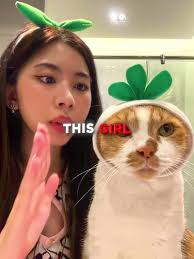 Kitty Cat Best Friend