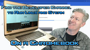How To Install Steam On Chrome Os And Linux And Steam Within Chromebook Tested On Acer Cb515 Youtube