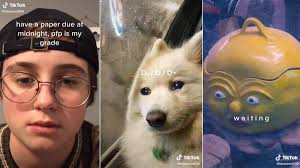 Tiktok profile picture (pfp) explained noah beck neck meme noah recently uploaded a new profile picture on his tiktok account and the picture is a little. My Pfp Know Your Meme