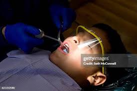 159 Seth Low Stock Photos, High-Res Pictures, and Images