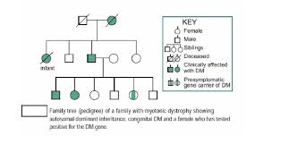 Explain Pedigree Analysis Of Different Diseases With Proper