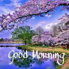 Good Morning Greetings Paesaggi Sfondi Foto Images, wallpaper and whatsapp messages with text to. pinterest
