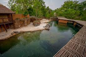 Zambezi River Hippo Camp Memphis Zoo Memphis Tennessee Usa By Torre Design Zoo Architecture Zoo Park Memphis Zoo