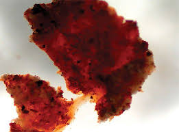 There are some carbon particles in the atmosphere. Dinosaur Shocker Science Smithsonian Magazine
