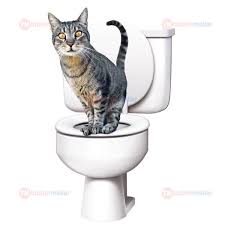 Kedi Kumu Kabi Citikitty Tuvaleti Kumlugu Tuvalet Kabi Klozet Kapagi Aparati Kapali Alistirici Set Toptanmallar Com