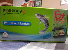 Nama saintifik adalah channa striatus. Polleney Pati Ikan Haruan 6 1 Polleney Essence Of Black Fish With Bentong Ginger Everything Else On Carousell