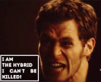 This may have been asked before but do Klaus's hybrids not need a daylight  ring?